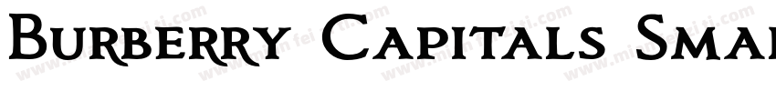 Burberry Capitals Small Regular字体转换
